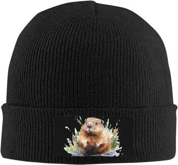 Karikatür Groundhog bere şapkalar Cap fit erkekler Kadınlar Kawaii Bere Kış Şapka Sıcak Yumuşak Streç Kalın Moda Örme Kapaklar Siyah